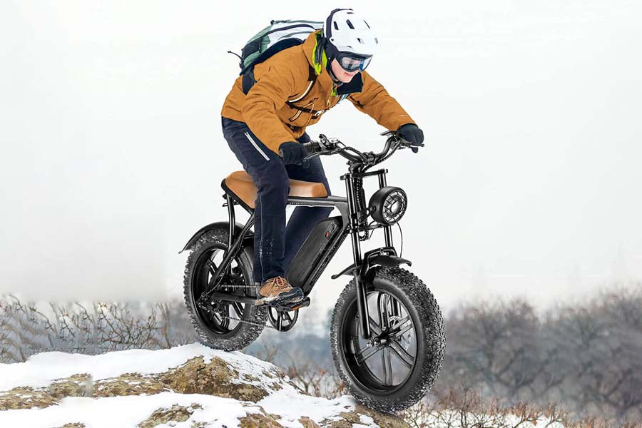 Neuer E-Bike Cruiser mit lässigem Look