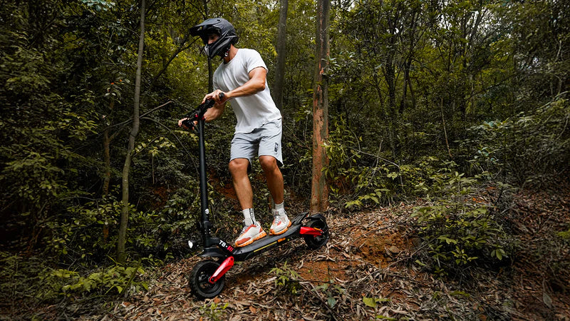 Welcher ist der beste Offroad-E-Scooter mit Straßenzulassung?