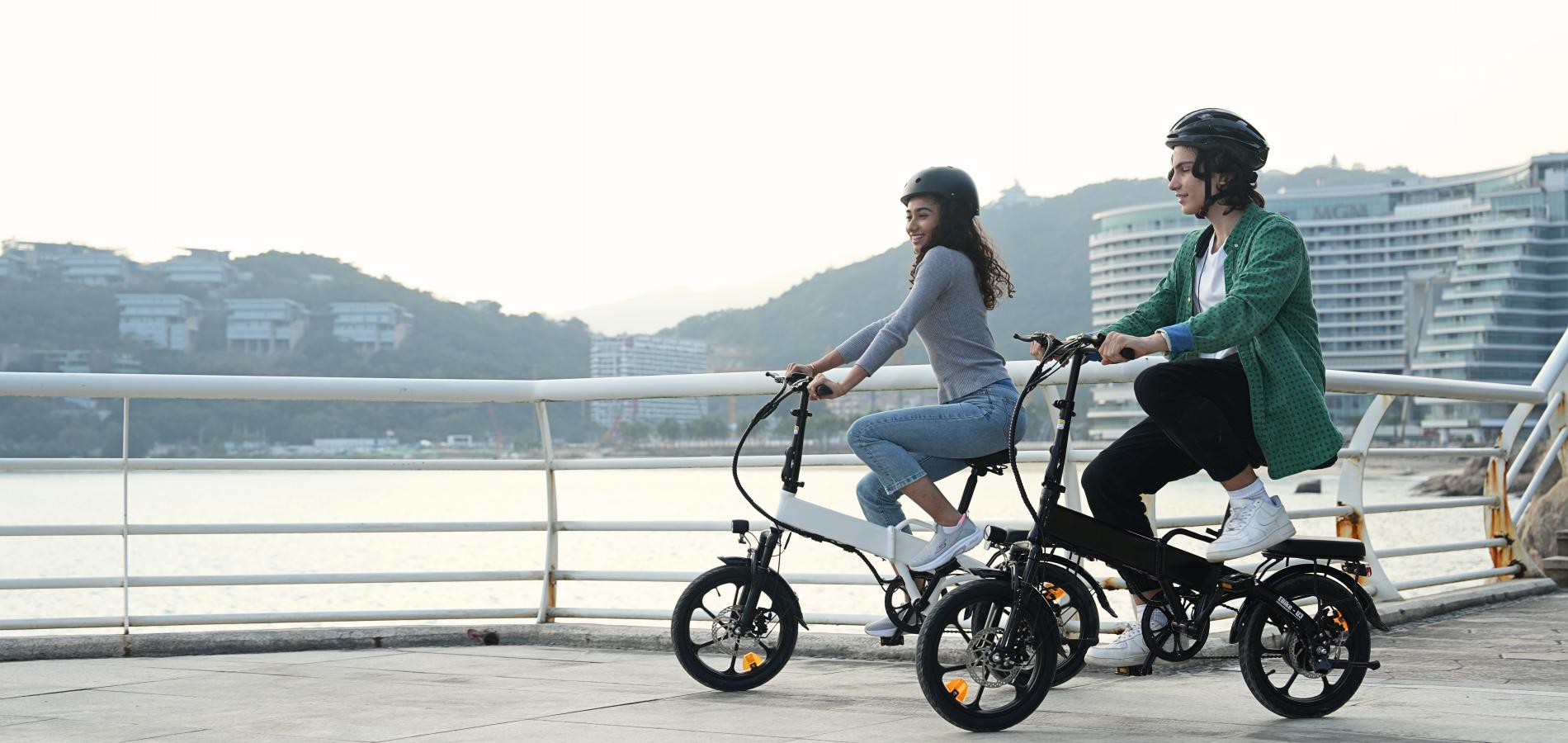 3 Fahrmodi E-Bike