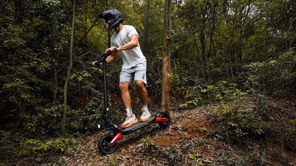Welcher ist der beste Offroad-E-Scooter mit Straßenzulassung?
