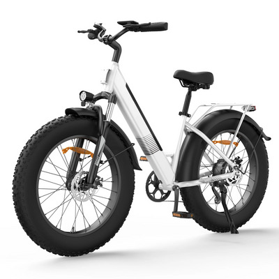 isinwheel M60 750W All-Terrain-E-Bike