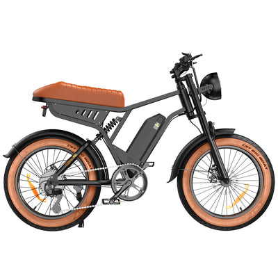 R6 20 Zoll All-Terrain Elektrofahrrad mit Fetten Reifen