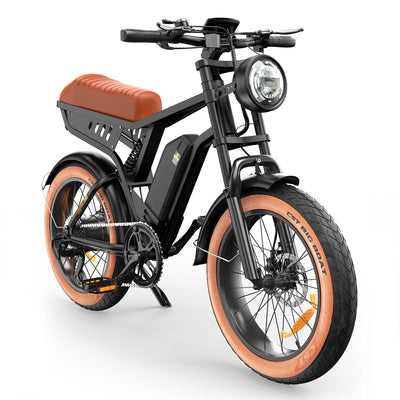 R6 20 Zoll All-Terrain Elektrofahrrad mit Fetten Reifen