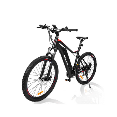 günstige e bikes