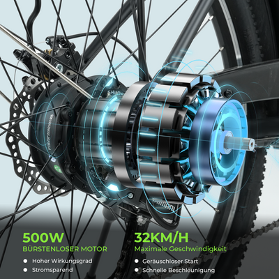 U2 Tiefeinsteiger E-Bike Damen Und Herren