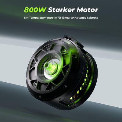 S10Plus E-Scooter Mit Straßenzulassung 800W Motor 60KM Reichweite (ABE,eKFV)
