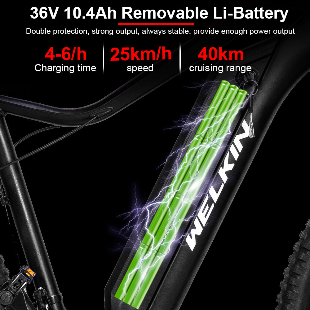 e bike Batterie