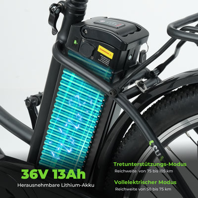 U2 Tiefeinsteiger E-Bike Damen Und Herren