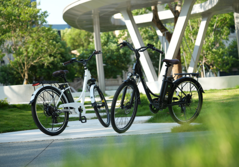 e-bike mit Scheibenbremse