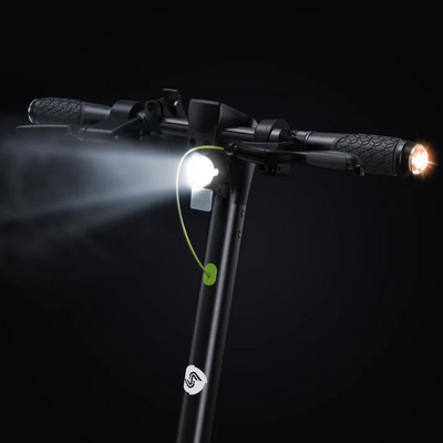 S10Plus E-Scooter Mit Straßenzulassung 800W Motor 60KM Reichweite (ABE,eKFV)