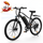 EB3/M10 E-Mountainbike mit 100km Reichweite