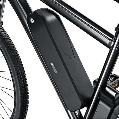 E-Bike 10 km/h