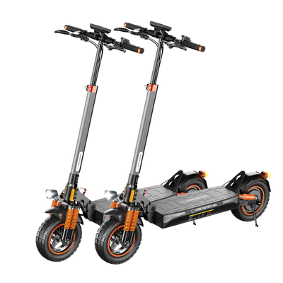 M2 Offroad E-Scooter Mit Straßenzulassung 1000W Motor (ABE,eKFV)