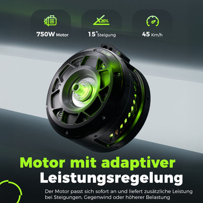 isinwheel M60 750W All-Terrain-E-Bike