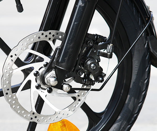 Dual-Power-E-Bike