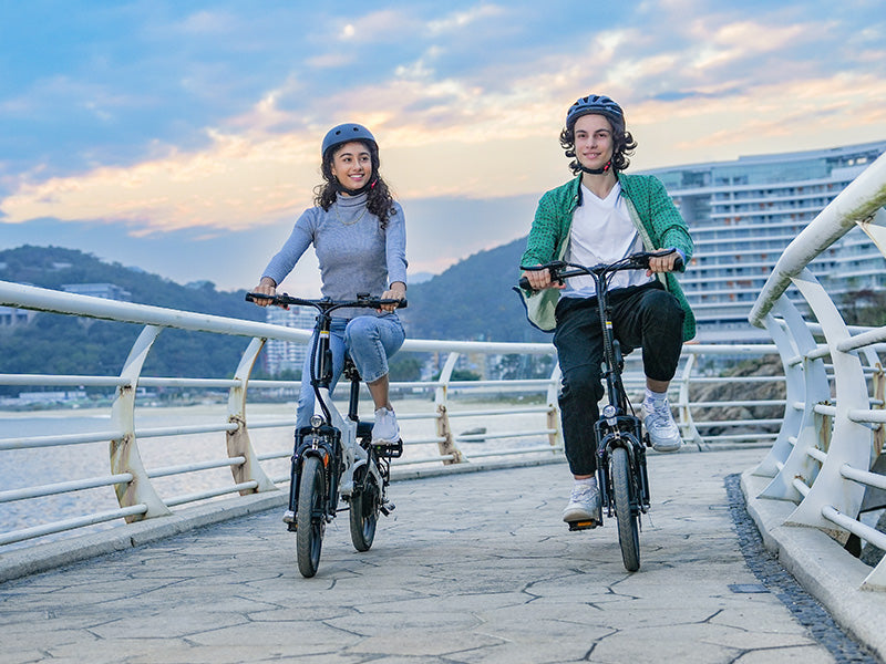 E-Bike 120kg