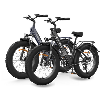 isinwheel M60 750W All-Terrain-E-Bike
