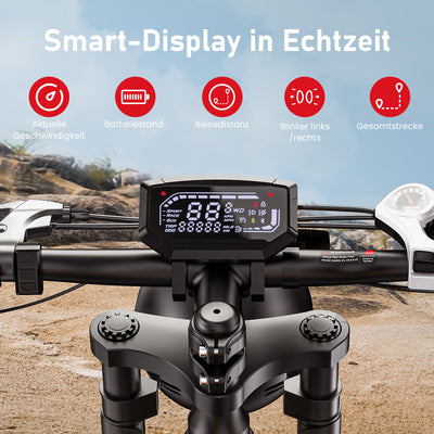 R6 20 Zoll All-Terrain Elektrofahrrad mit Fetten Reifen