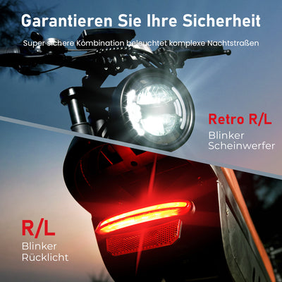 R6 20 Zoll All-Terrain Elektrofahrrad mit Fetten Reifen