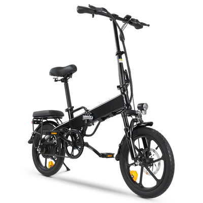 leichtes e bike