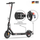 isinwheel E9 E-Scooter Mit Straßenzulassung Doppelfederung (ABE,eKFV)