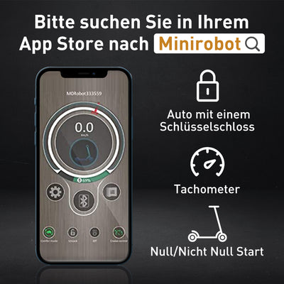 E9 E-Scooter Mit Straßenzulassung (ABE,eKFV)