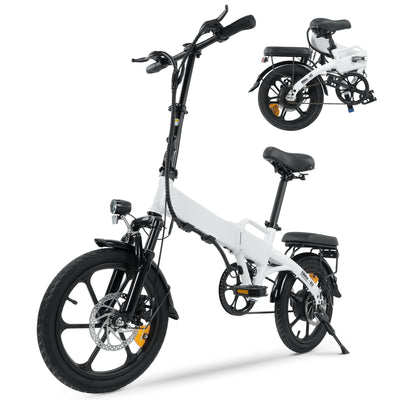 cargo e bike